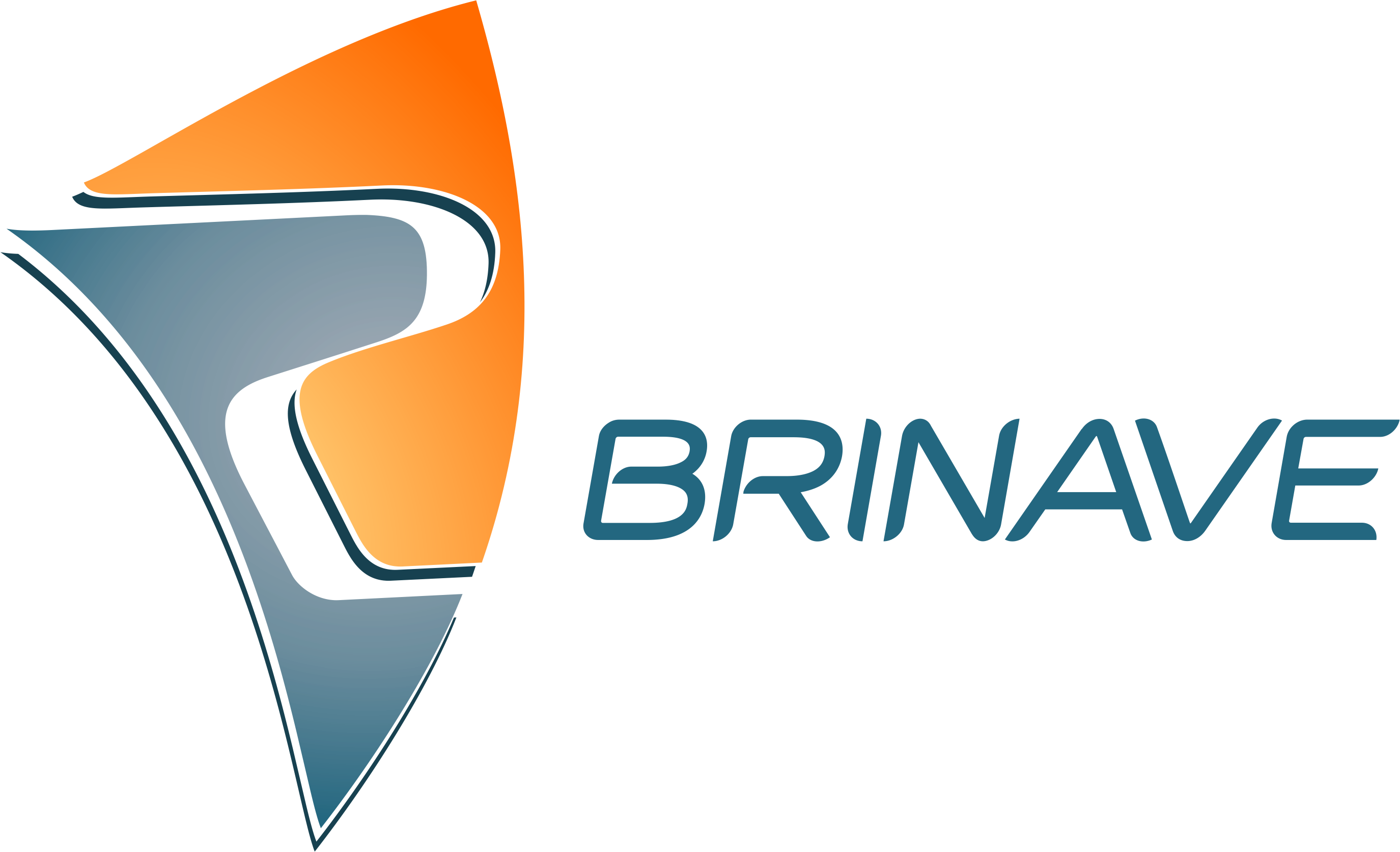 BRINAVE_LOGO