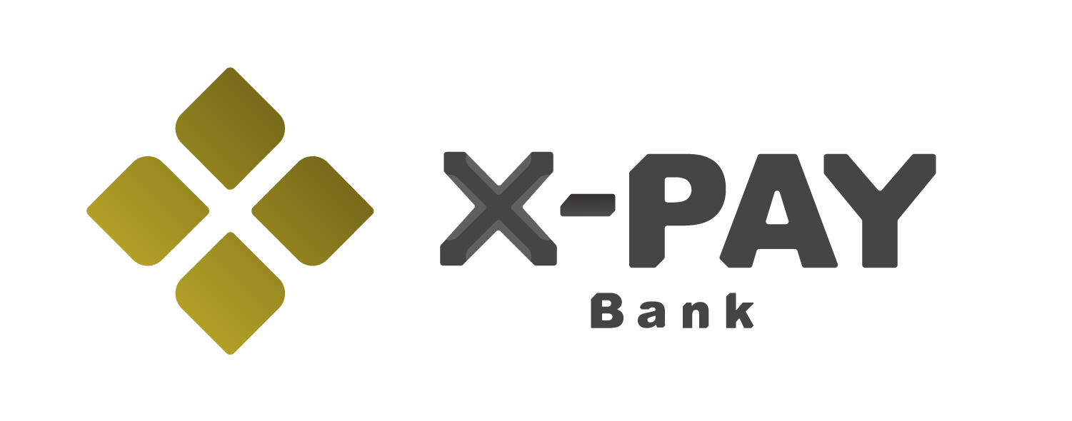 X-PAY1